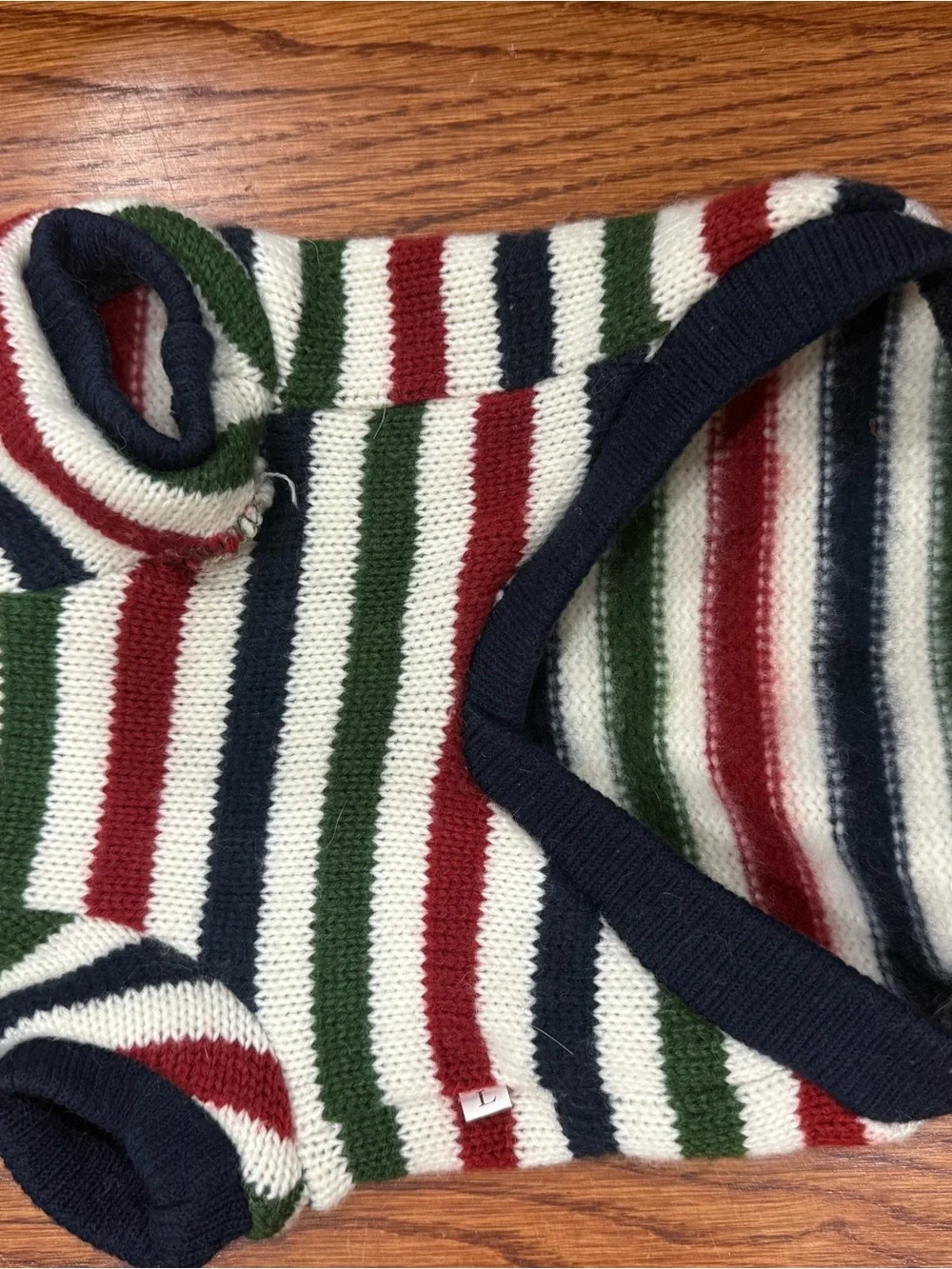 Pet Striped Knit Sweater with Bear Patch